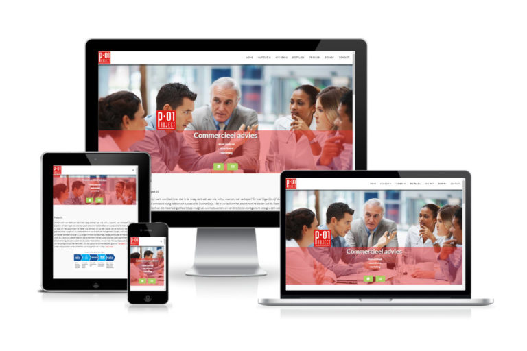 Project 01 Commercieel advies