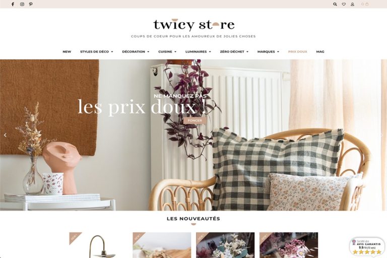 Twicy Store
