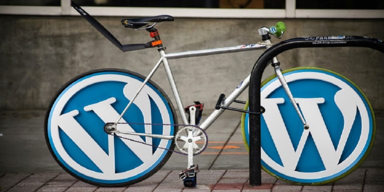 Read more about the article WordPress Hosting – How To Pick The Cost Effective Option?